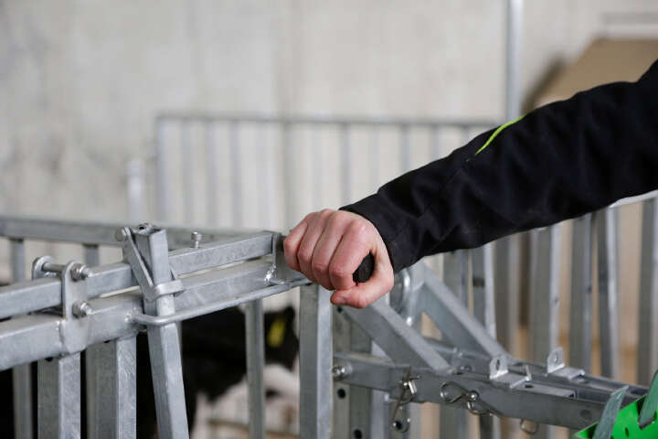 KERBL Modulare Zaunaufstallung Fanggitter